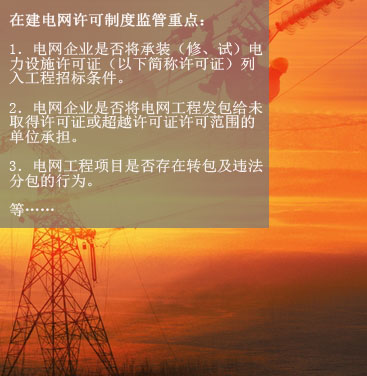 八、在建電網(wǎng)工程項(xiàng)目許可制度執(zhí)行情況