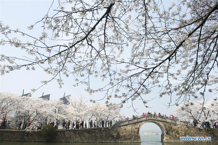 #CHINA-SPRING-BLOSSOMS (CN)