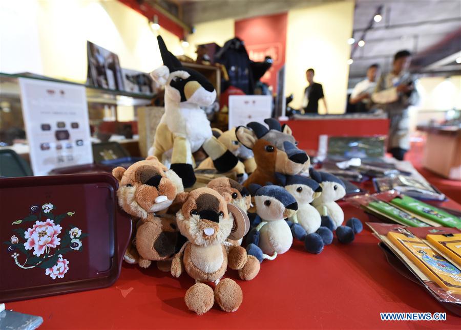 CHINA-JIANGSU-NANJING-EXHIBITION-TIBETAN CULTURE (CN)