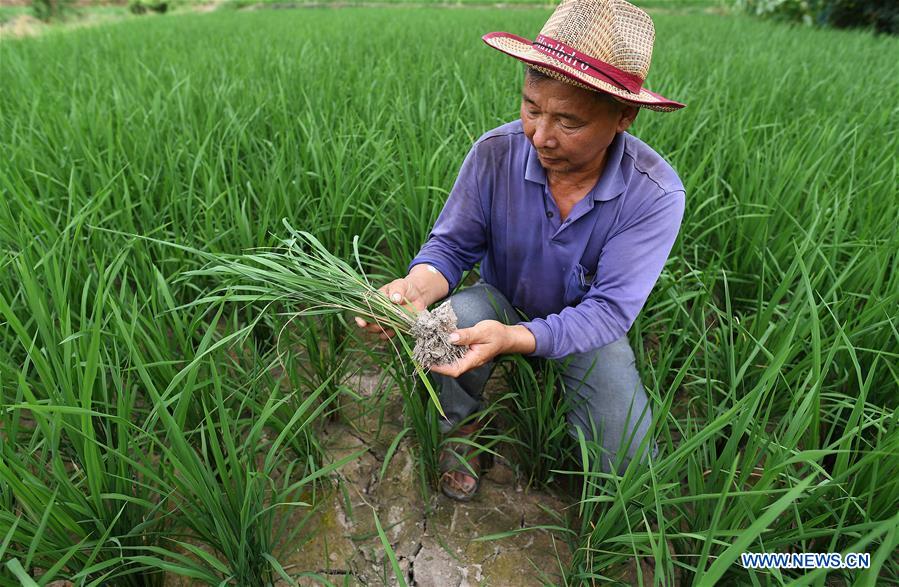 CHINA-JIANGXI-FUZHOU-DROUGHT (CN)