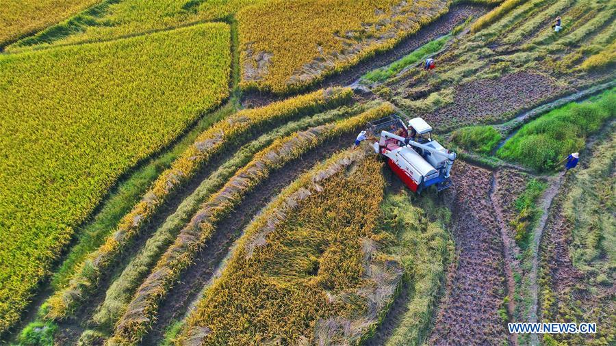 #CHINA-AUTUMN-HARVEST (CN)