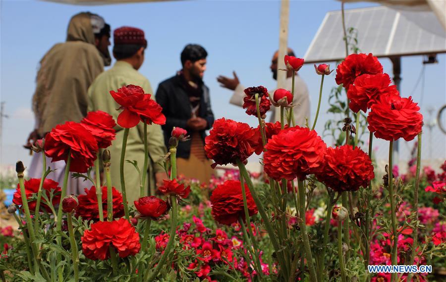 AFGHANISTAN-KANDAHAR-FLOWER SHOP