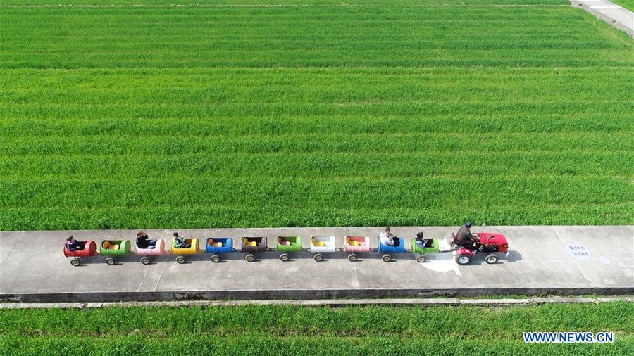 XINHUA PHOTOS OF THE DAY