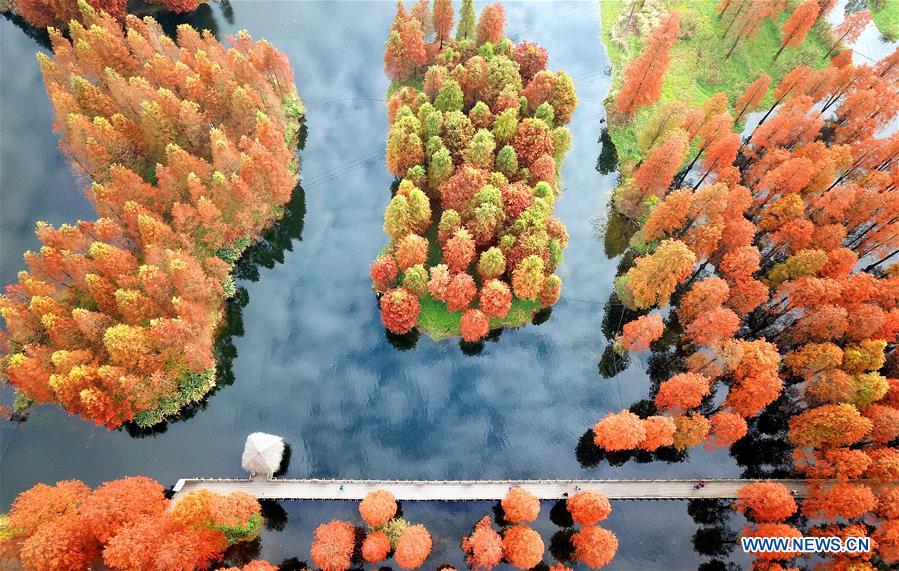 CHINA-SHANGHAI-WINTER-SCENERY (CN)