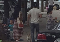 組圖：天天秀恩愛！范冰冰李晨甜蜜遛狗引圍觀