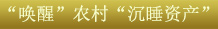 關鍵字3：&ldquo;喚醒&rdquo;農(nóng)村&ldquo;沉睡資產(chǎn)&rdquo;