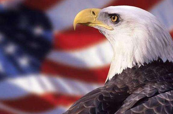 若鷹派掌權會發(fā)生什么？