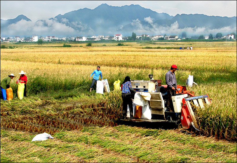 堅(jiān)定自信書寫中國傳奇