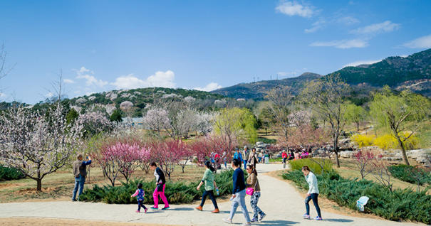 美到無法呼吸！&ldquo;西山晴雪&rdquo;攝影大賽來了