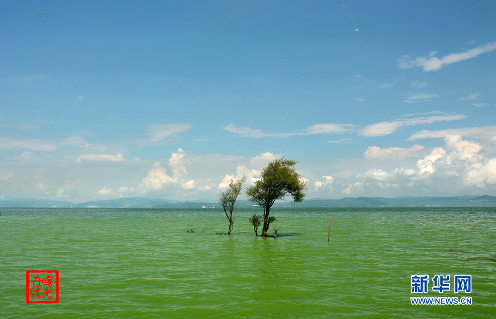 陽光昆明，爽爽的春城
