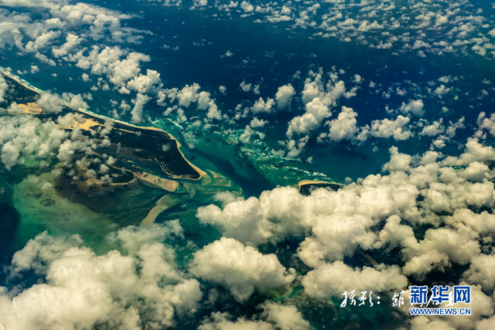 飛躍太平洋，跨越秋與春