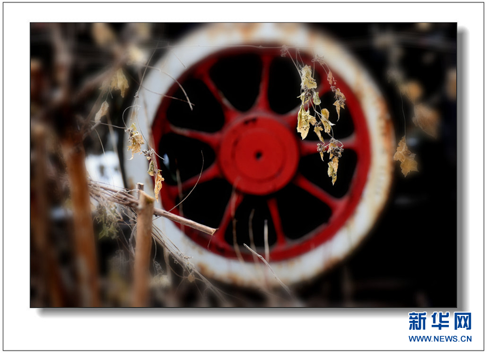 《遺世流年抹滄?！?>	</a></div>
</div>
<div   id=