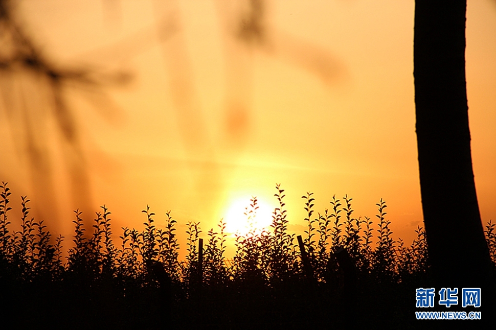 日落西山頭，人約黃昏后