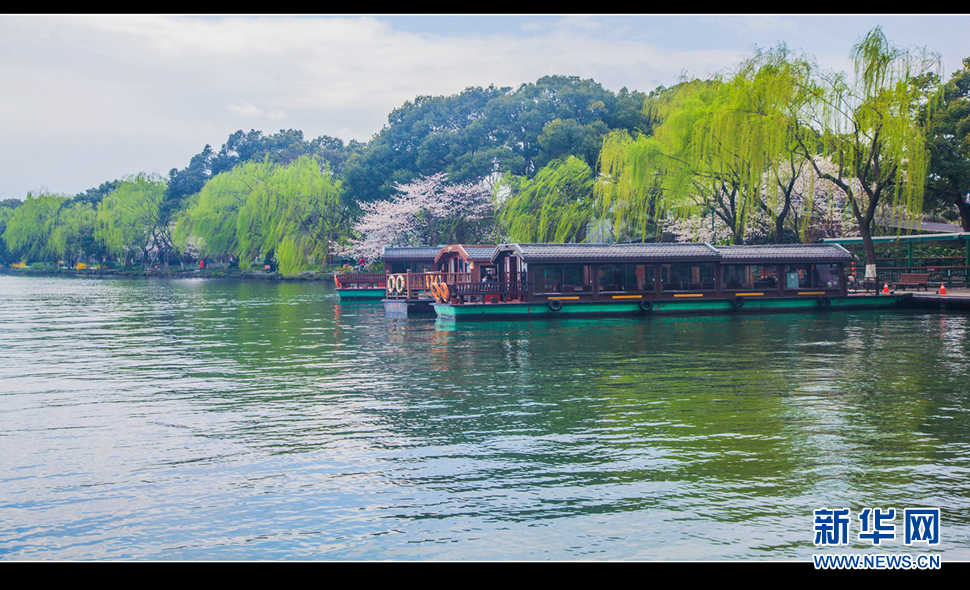 聽風(fēng)西湖柳，聞香龍井茶