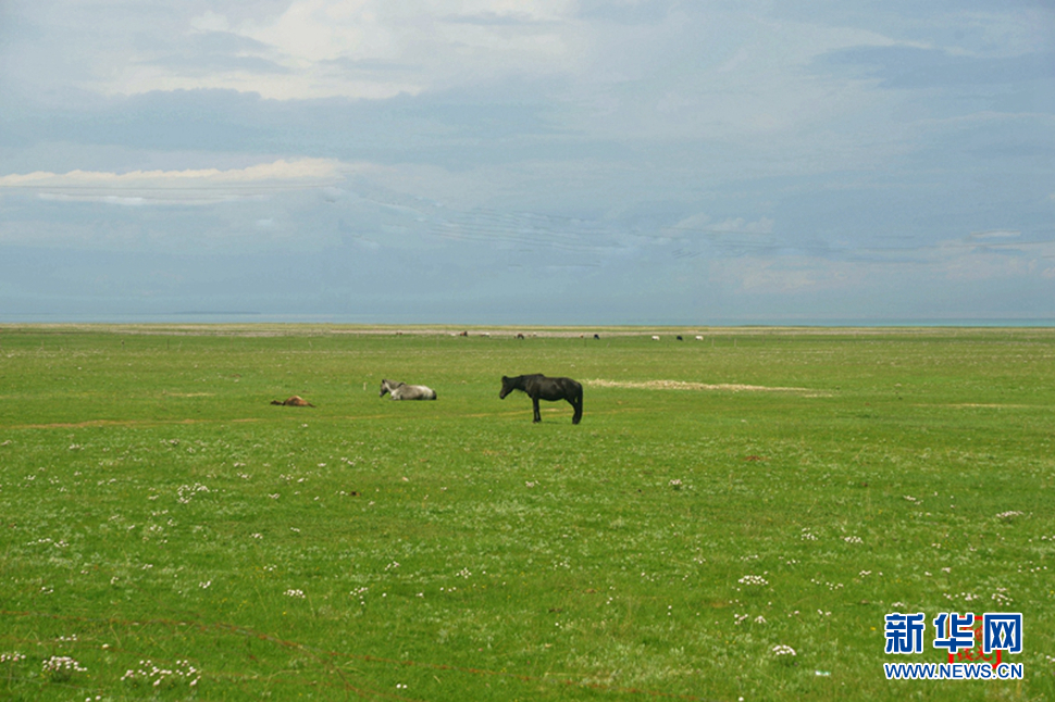 高原放歌之那山、那寺、那朵云