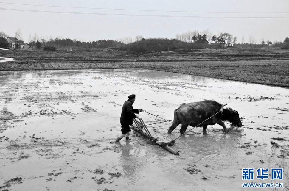 農(nóng)民工老吳鏡頭下農(nóng)村改革開放40周年