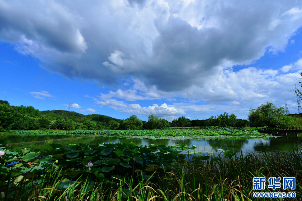 秋高氣爽，行攝八掛田
