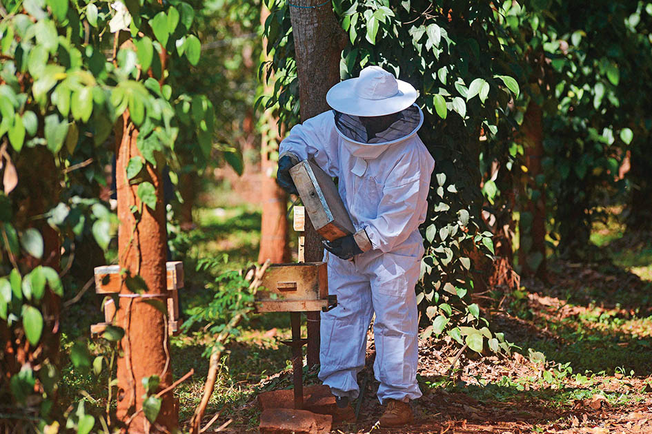 印度驶入AI小模型赛道