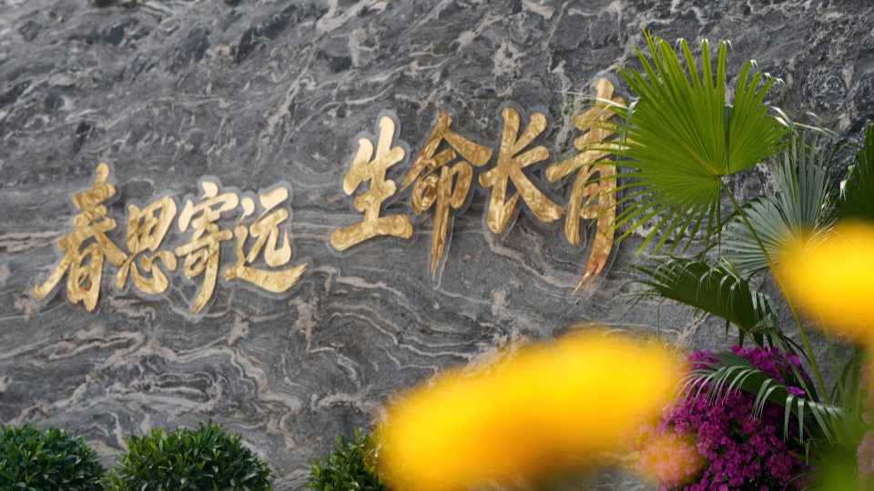 新華網(wǎng)民生觀察丨生態(tài)安葬，從被動(dòng)接受到主動(dòng)預(yù)約