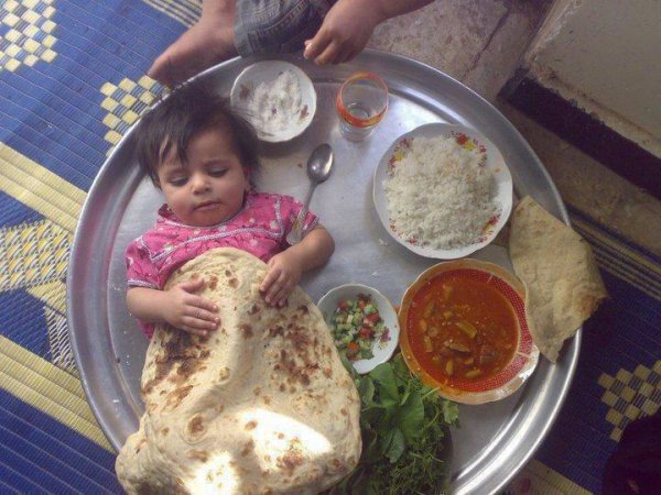 讓人哭笑不得的&ldquo;熊父母&rdquo;【圖】