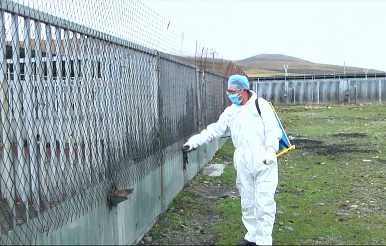 致敬偉大改革｜對(duì)話40年，講述身邊的健康故事（第二十一集）&mdash;&mdash;送瘟神