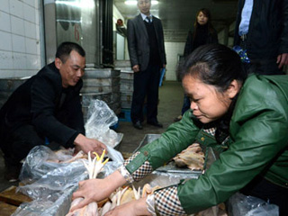 江西宰殺、冷凍積壓禽肉 緩解H7N9禽流感影響
