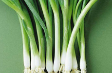 養(yǎng)生:春天吃點(diǎn)蔥和蒜