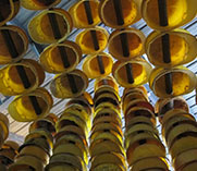 邊緣居住 關注城市建造者