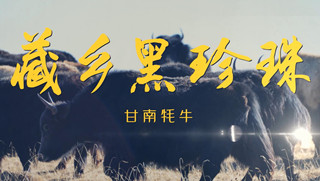 溯源中國名品推薦&middot;藏鄉(xiāng)黑珍珠