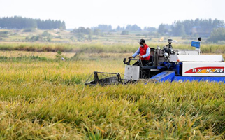 40年，小崗人的18個(gè)&ldquo;第一次&rdquo;