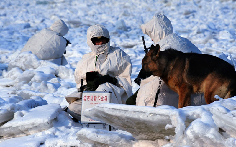 馮凱旋作品：無言的&ldquo;戰(zhàn)友&rdquo;