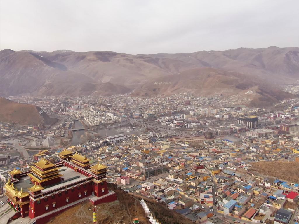 震后11年，玉樹正芳華