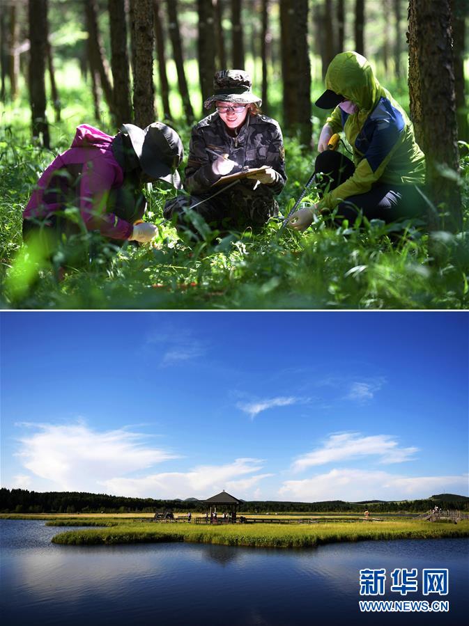 （十九大&middot;讀報(bào)告 話民生）（6）加快生態(tài)文明體制改革，建設(shè)美麗中國(guó)