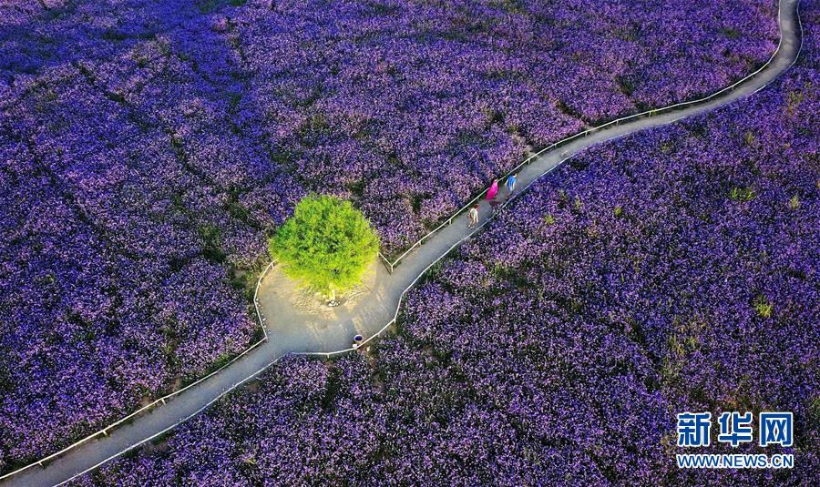 （十九大&middot;讀報告 話民生）（7）加快生態(tài)文明體制改革，建設(shè)美麗中國