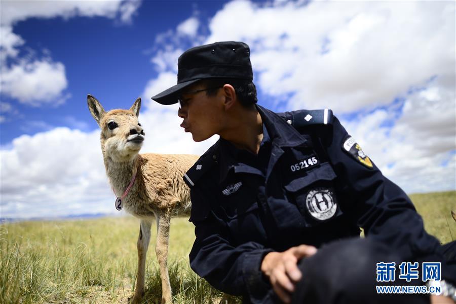 （十九大&middot;讀報(bào)告 話民生）（8）加快生態(tài)文明體制改革，建設(shè)美麗中國
