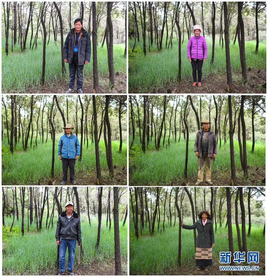 （十九大&middot;讀報告 話民生）（9）加快生態(tài)文明體制改革，建設(shè)美麗中國