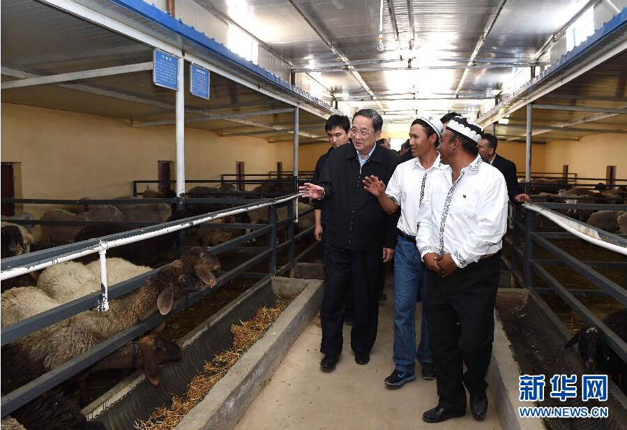 9月27日，中共中央政治局常委、全國政協(xié)主席、中央代表團團長俞正聲率中央代表團部分成員赴喀什地區(qū)莎車縣看望各族干部群眾。這是俞正聲在新疆生產(chǎn)建設(shè)兵團第三師莎車農(nóng)場實地察看萬只羊養(yǎng)殖基地。新華社記者 饒愛民 攝