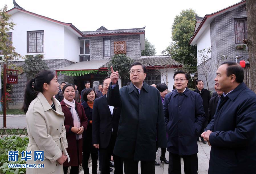 這是11月22日，張德江來到成都郫縣青杠樹村，了解村民委員會工作情況。 新華社記者 劉衛(wèi)兵 攝 