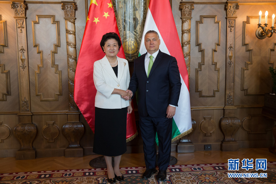  6月21日，國務(wù)院副總理劉延?xùn)|（左）在匈牙利布達(dá)佩斯國會(huì)大廈會(huì)見匈牙利總理歐爾班。 新華社發(fā)（弗爾季&middot;奧蒂洛攝）