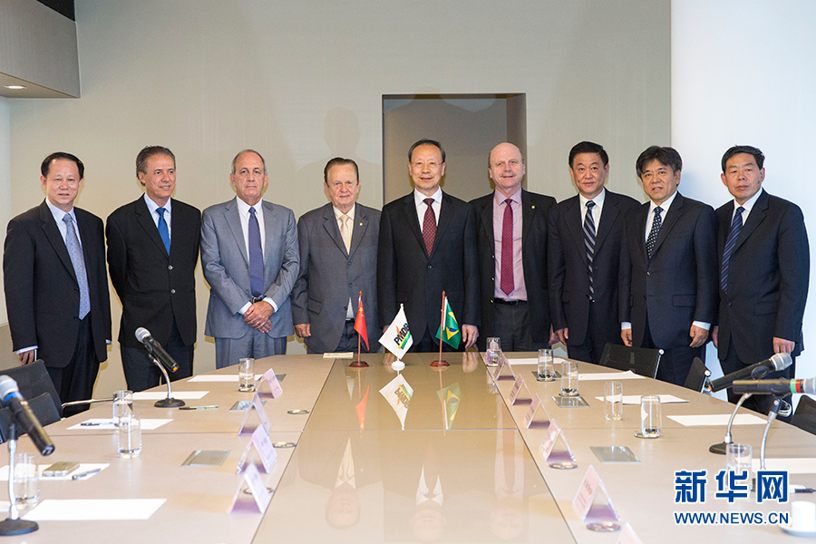 7月11日，在巴西首都巴西利亞，中共中央書記處書記、全國政協(xié)副主席杜青林（中）會見巴西民主運動黨總書記毛羅&middot;洛佩斯（左四）。新華社記者李明攝