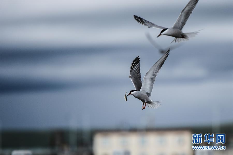 （圖文互動(dòng)）（10）奏響新時(shí)代偉大復(fù)興的壯麗樂章&mdash;&mdash;寫在&ldquo;中國夢&rdquo;提出五周年之際
