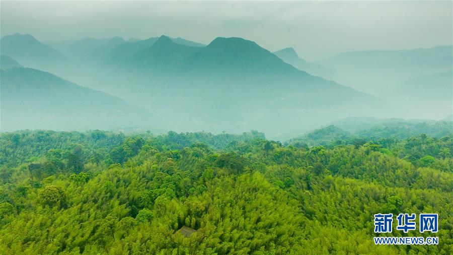 （新華全媒頭條&middot;圖文互動(dòng)）（9）赤水：別了，貧困！