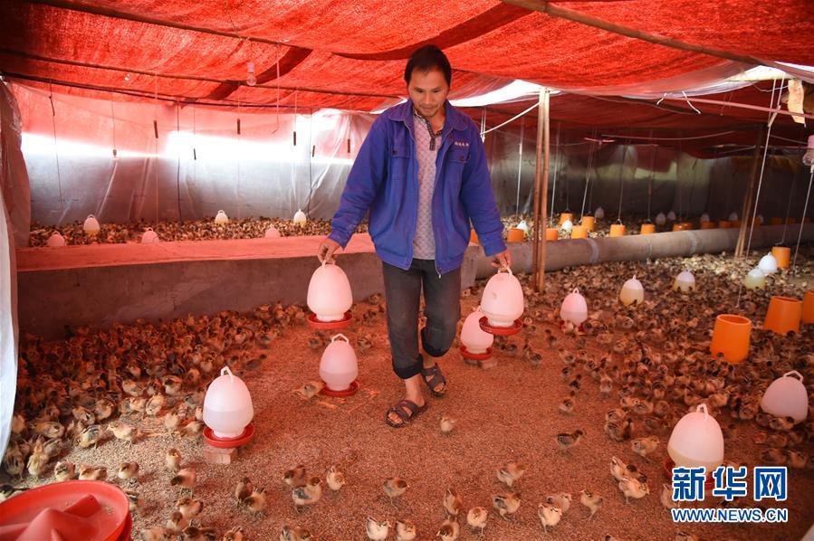 （新華全媒頭條&middot;圖文互動(dòng)）（8）赤水：別了，貧困！