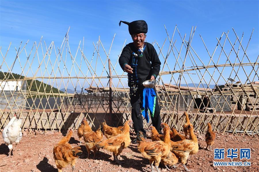 （新華全媒頭條&middot;圖文互動）（2）行程萬里 人民至上&mdash;&mdash;習(xí)近平總書記春節(jié)考察足跡回訪