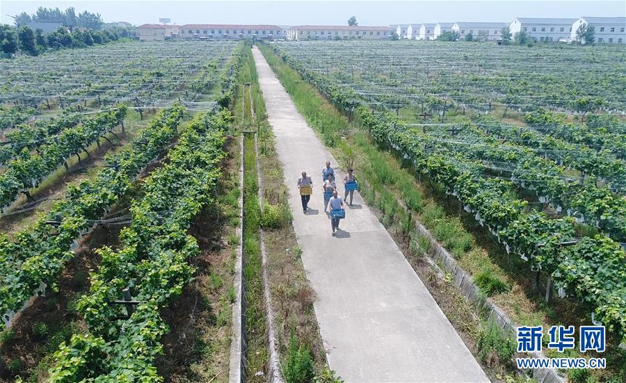 （新華全媒頭條&middot;紀(jì)念改革開放40年特稿&middot;圖文互動(dòng)）（5）向著新航程揚(yáng)帆奮進(jìn)！&mdash;&mdash;從小崗精神看中國改革開放40年