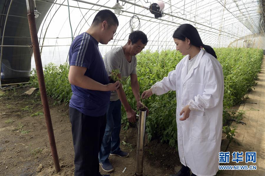 (經(jīng)濟)(1)推廣農(nóng)業(yè)科技助推鄉(xiāng)村振興