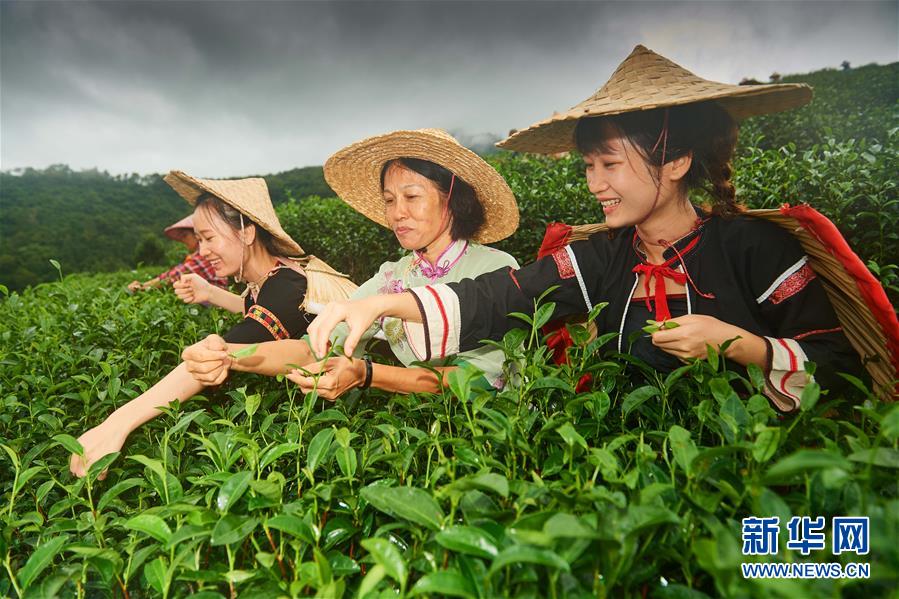 （新華全媒頭條&middot;潮起海之南&middot;圖文互動(dòng)）（7）春潮拍岸千帆進(jìn)&mdash;&mdash;海南特區(qū)改革開(kāi)放30年紀(jì)實(shí)