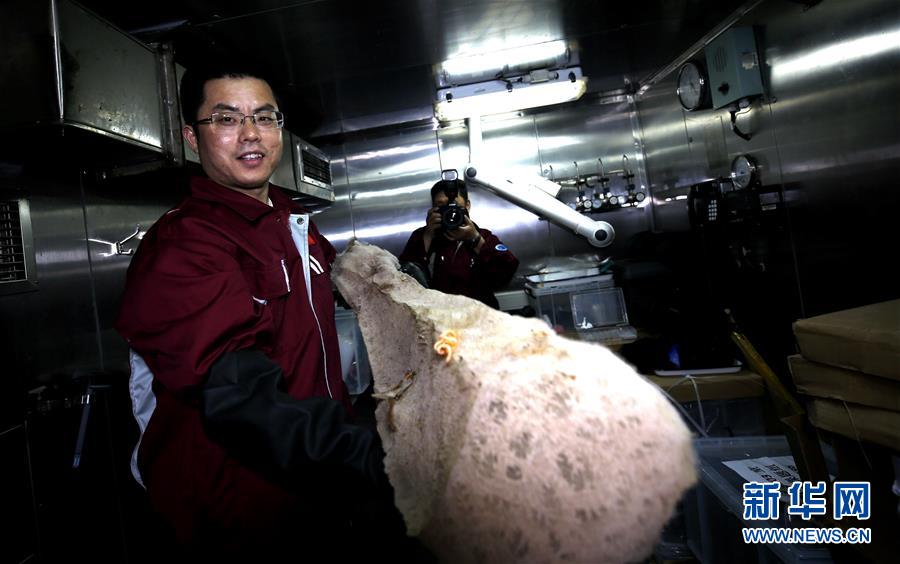 （圖文互動(dòng)）（6）&ldquo;科學(xué)&rdquo;號(hào)在麥哲倫海山展開綜合調(diào)查