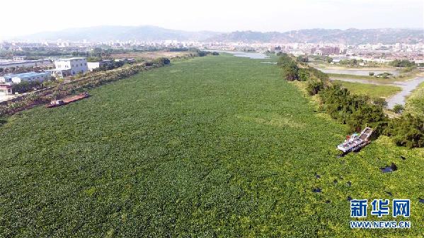 （圖文互動）（1）&ldquo;白練&rdquo;變&ldquo;黑龍&rdquo;，江河變&ldquo;草原&rdquo;－－粵東母親河為何污染20多年難治理？