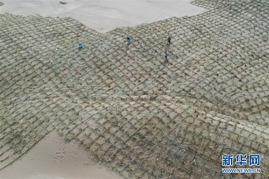 （新華全媒頭條&middot;圖文互動）（8）荒漠化治理的&ldquo;中國智慧&rdquo;